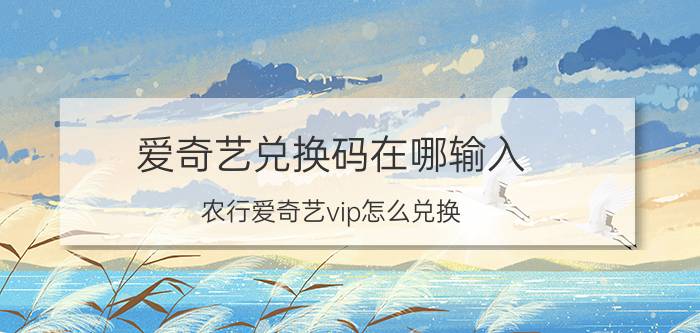 爱奇艺兑换码在哪输入 农行爱奇艺vip怎么兑换？